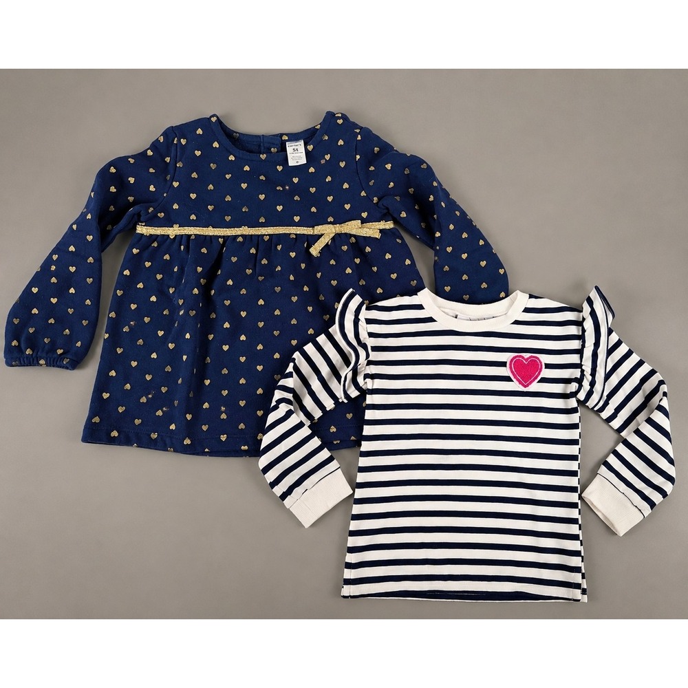 2 Sz 5t Girls Long Sleeve Dress & Top Childrens Place Carters